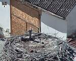 Capi_Dubne_20250818_150503.jpg