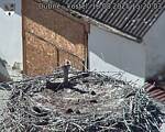 Capi_Dubne_20250818_152003.jpg
