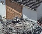 Capi_Dubne_20250818_153003.jpg