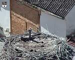 Capi_Dubne_20250818_153503.jpg