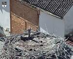 Capi_Dubne_20250818_154003.jpg