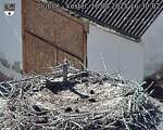 Capi_Dubne_20250818_163002.jpg