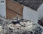 Capi_Dubne_20250818_163504.jpg