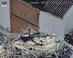 Capi_Dubne_20250818_165003.jpg