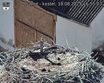 Capi_Dubne_20250818_165503.jpg