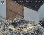 Capi_Dubne_20250818_183004.jpg
