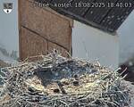 Capi_Dubne_20250818_184003.jpg