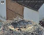 Capi_Dubne_20250818_185003.jpg