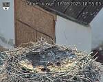 Capi_Dubne_20250818_185503.jpg