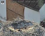 Capi_Dubne_20250818_190003.jpg