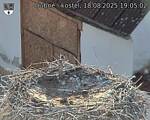 Capi_Dubne_20250818_190502.jpg
