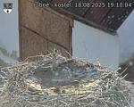 Capi_Dubne_20250818_191004.jpg