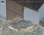 Capi_Dubne_20250818_191503.jpg