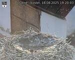 Capi_Dubne_20250818_192003.jpg