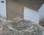 Capi_Dubne_20250818_193502.jpg