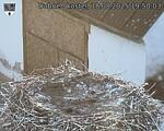 Capi_Dubne_20250818_195003.jpg