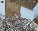 Capi_Dubne_20250818_195503.jpg