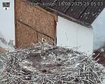 Capi_Dubne_20250818_200503.jpg
