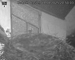 Capi_Dubne_20250818_205003.jpg