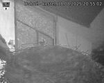 Capi_Dubne_20250818_205502.jpg