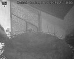 Capi_Dubne_20250818_211003.jpg
