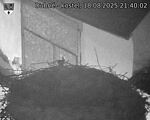 Capi_Dubne_20250818_214002.jpg