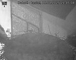 Capi_Dubne_20250818_214504.jpg