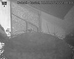 Capi_Dubne_20250818_220003.jpg