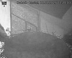 Capi_Dubne_20250818_222003.jpg