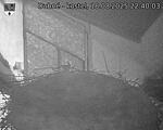 Capi_Dubne_20250818_224003.jpg