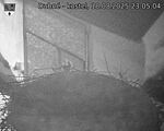 Capi_Dubne_20250818_230504.jpg