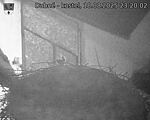 Capi_Dubne_20250818_232003.jpg