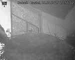 Capi_Dubne_20250818_235502.jpg