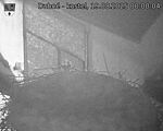Capi_Dubne_20250819_000004.jpg