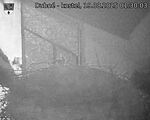 Capi_Dubne_20250819_013003.jpg