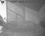 Capi_Dubne_20250819_022003.jpg