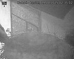 Capi_Dubne_20250819_023502.jpg