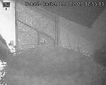 Capi_Dubne_20250819_025503.jpg