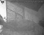 Capi_Dubne_20250819_032503.jpg