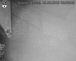 Capi_Dubne_20250819_033503.jpg