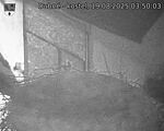 Capi_Dubne_20250819_035003.jpg