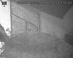 Capi_Dubne_20250819_035503.jpg
