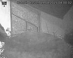 Capi_Dubne_20250819_040002.jpg