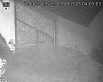 Capi_Dubne_20250819_040503.jpg