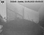 Capi_Dubne_20250819_050003.jpg