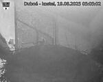 Capi_Dubne_20250819_050502.jpg