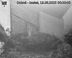 Capi_Dubne_20250819_052003.jpg