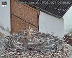 Capi_Dubne_20250819_060002.jpg