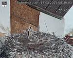 Capi_Dubne_20250819_083003.jpg