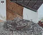 Capi_Dubne_20250819_085503.jpg